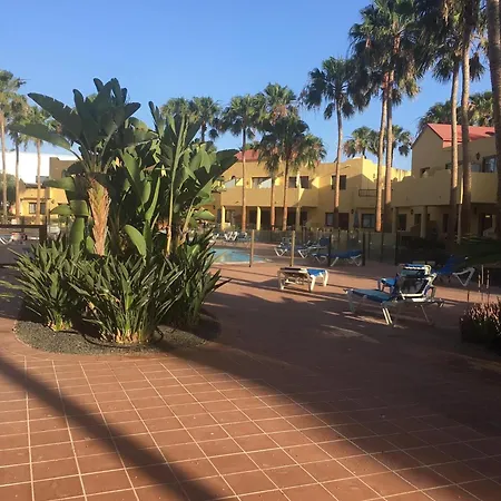 Appartement Oasis Royal